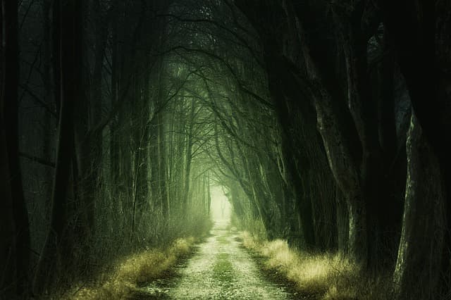 trees